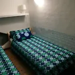 Home Zuccarelli Center
